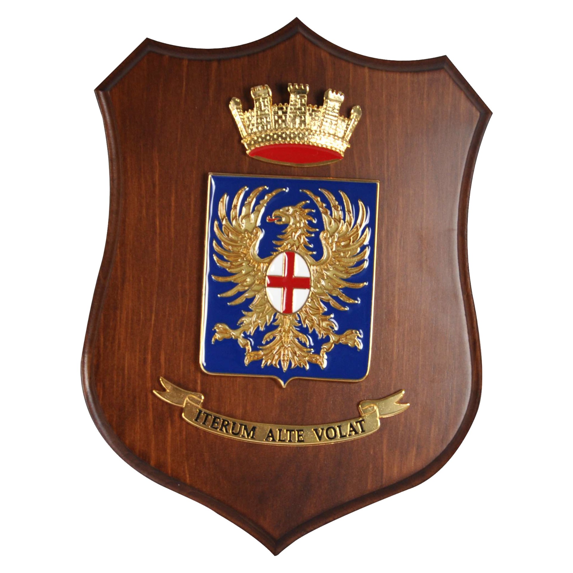 CREST ARALDICO CON STEMMA AERONAUTICA MILITARE 22 X 17 CM