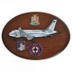 CREST ARALDICO AEREI AIRBUS A-319 CJ AERONAUTICA MILITARE MIS CM 22,5 X 17,5