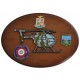 CREST ARALDICO AEREI NH 500E AERONAUTICA MILITARE MIS CM 22,5 X 17,5