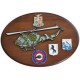 CREST ARALDICO AEREI AB.212 AERONAUTICA MILITARE MIS CM 22,5 X 17,5