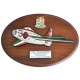 CREST ARALDICO AEREI F-84F THUNDERSTREAK DIAVOLI ROSSI GHEDI 1958 AERONAUTICA MILITARE MIS CM 22,5 X 17,5