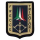 PATCH PLASTIFICATA FRECCE TRICOLORI CON VELCRO