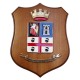 CREST IN METALLO SMALTATO LEGNO CL3 22 X 17 CM 14 REPARTO INFRASTRUTTURE