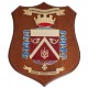 CREST ARALDICO 21° RGT. GENIO GUASTATORI ESERCITO ITALIANO MIS CM 22,5 X 17,5