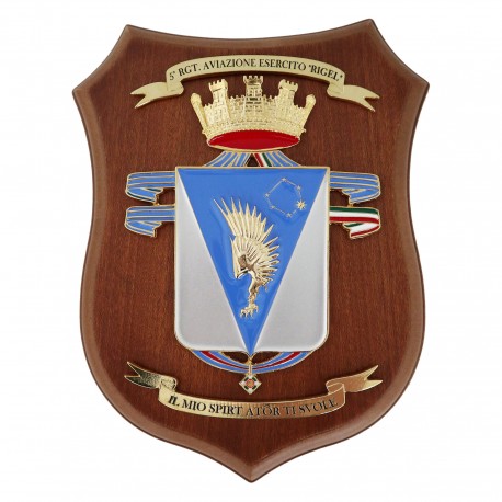 CREST ARALDICO 183° RGT. PARACADUTISTI NEMBO ESERCITO ITALIANO MIS CM 22,5 X 17,5