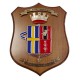 CREST ARALDICO 11A BTG. TRASPORTI ETNEA ESERCITO ITALIANO MIS CM 22,5 X 17,5