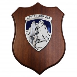 CREST ARALDICO 2° RGT. TRASMISSIONI ALPINO ESERCITO ITALIANO MIS CM 22,5 X 17,5