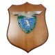 CREST IN METALLO SMALTATO LEGNO CL3 22 X 17 CM REP COM SUP TATT TAURINENSE