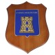 CREST IN METALLO SMALTATO LEGNO CL3 22 X 17 CM 6 REP INFRASTRUTTURE 2D